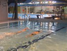 Entraînement natation du 17-11-2004 Entraînement natation du 17-11-2004